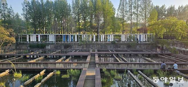 수생식물원 북측 산책로에서 보는 ‘그림자 아카이브’ 낮 풍경. 김선미 기자  kimsunmi@donga.com