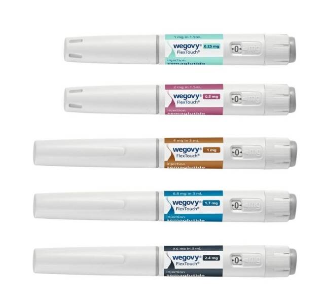 지난해 국내에 출시된 비만치료제 위고비. 노보노디스크 제공