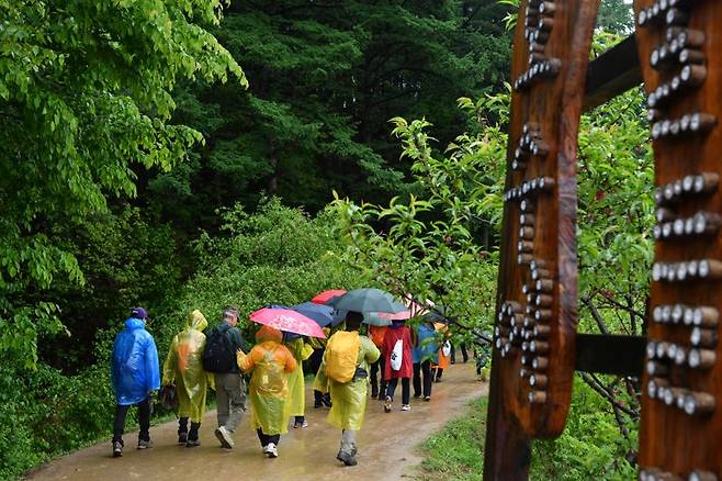 제6회 횡성호수길 축제 참가자들이 호수길을 걷고 있다. 횡성군 제공