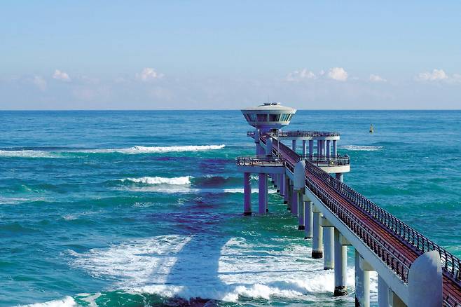 울진 국립해양과학관 바닷속전망대.  울진군