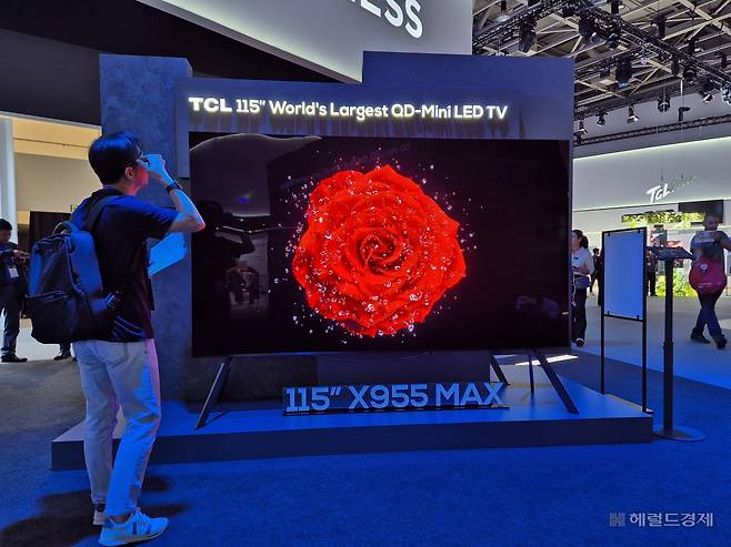 중국 TCL이 지난해 9월 독일 베를린에서 열린 IFA 2024에서 전시한 115인치 퀀텀닷 미니 발광다이오드(QD-Mini LED) TV. 김현일 기자