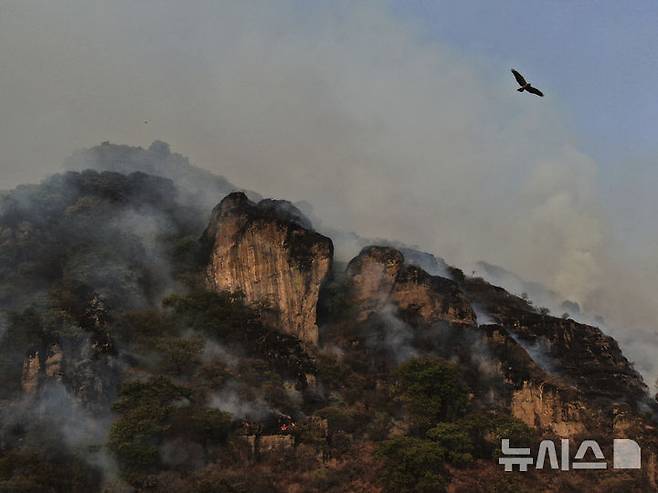 [아마틀란=AP/뉴시스] 15일(현지 시간) 멕시코 아마틀란 외곽에서 산불이 발생해 연기가 피어오르고 있다. 멕시코 전역에서 100건이 넘는 화재가 발생해 지금까지 약 3만8405헥타르(약 3185㎢)의 산림이 피해를 본 것으로 나타났다. 이러한 산불의 확산은 고온 건조와 강풍 등 기후 변화로 인한 이상 기후 현상이 주요 원인으로 지목되고 있다. 2025.04.16.