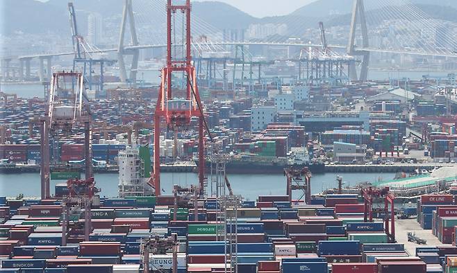 부산 남구 용당부두에 컨테이너들이 잔뜩 쌓여있다. 뉴스1