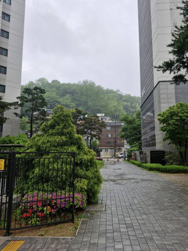 단지에서 바라본 안산 공원. 박형윤 기자