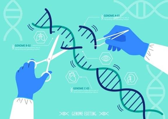 크리스퍼 카스9 유전자가위(CRISPR-Cas9) 관련 기술은 인간 복제에 핵심 기술로 꼽힌다. Gettyimage