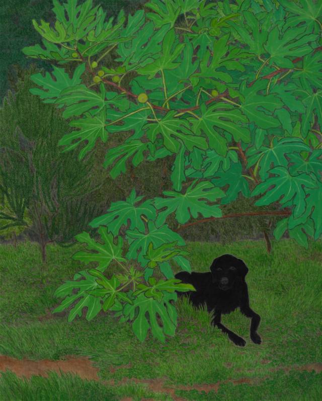 아트부산 2025 주요 출품작. 사진은 갤러리현대가 선보일 김보희의 'Towards'(2025). 아트부산 제공