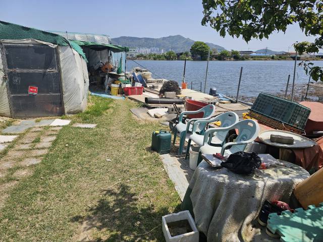 부산 강서구 맥도강 강변에 들어서 있는 불법 건조물. 초록생활 제공