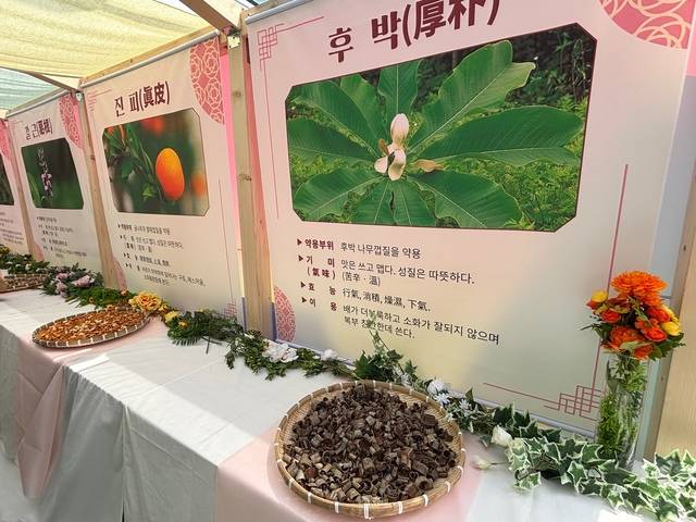 약초 포레스트에 전시되어 있는 14종의 한약재. 후박, 진피 등 한약재의 실물, 사진, 설명이 함께 전시되어 있다. 백성애 인턴