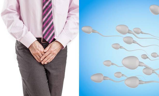 난임(불임) 남성의 혈중 인산염 수치를 조사했더니 그 수치가 평균(정상)보다 낮은 사람이 전체의 36%나 됐다. 이에 비해 일반 남성의 경우엔 그 비율이 4%에 그쳤다. 인산염이 정자의 운동성과 품질에 나쁜 영향을 미칠 수 있음을 시사하는 대목이다. [사진=게티이미지뱅크]