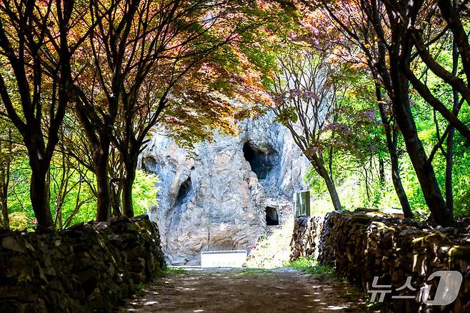 제천 점말동굴,(제천시 제공)/뉴스1