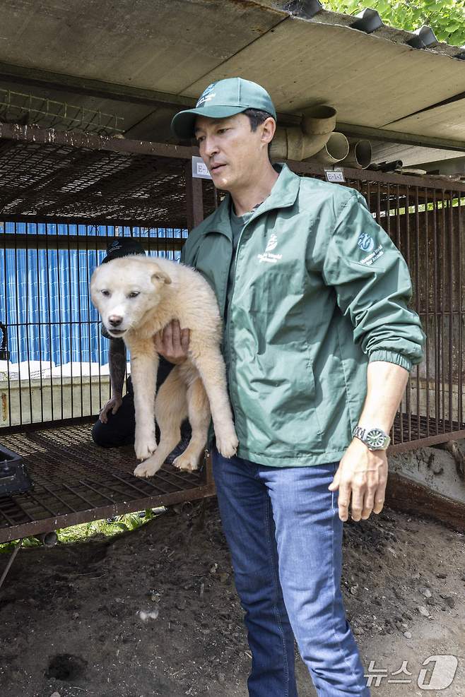 다니엘 헤니가 개농장 뜬장에서 꺼낸 강아지를 안고 있다(휴메인 월드 포 애니멀즈 제공). ⓒ 뉴스1