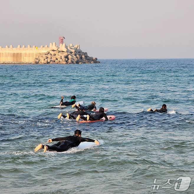 서핑교육.(양양군 제공, 재판매 및 DB 금지)2025.5.12/뉴스1