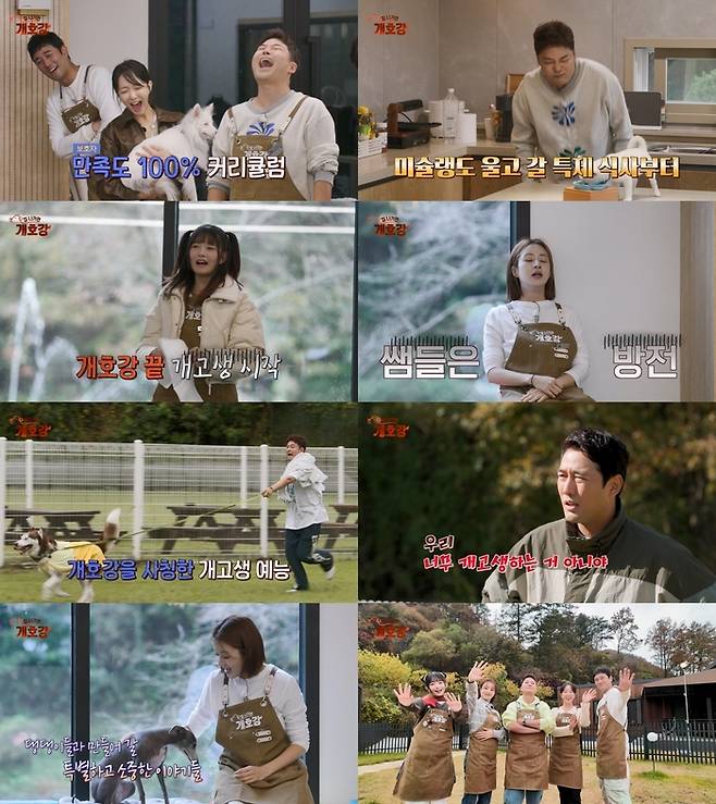 ‘강.친.자’ 전현무, 강소라, 조한선, 박선영, 아이브 레이. 사진 | JTBC ‘집 나가면 개호강’