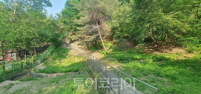 서울 의릉 천장산 숲길/사진-국가유산청