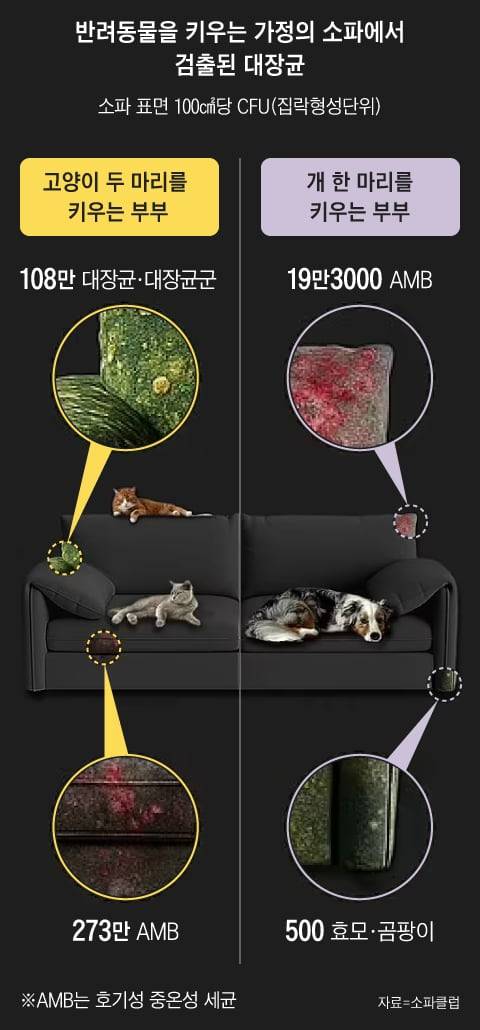 그래픽=조선디자인랩 권혜인