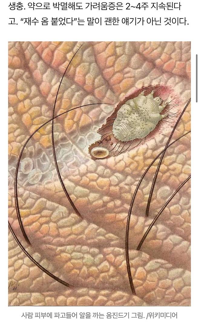 고령화 체감은 질병부터 옴 대유행