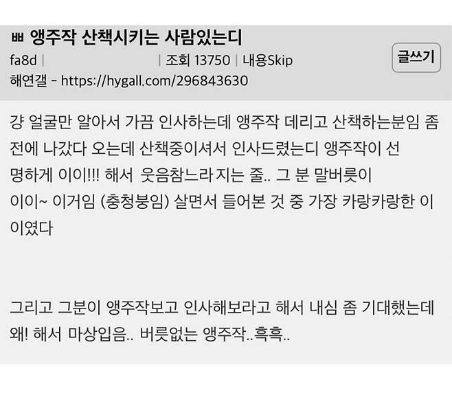 IMG_8710.jpeg 앵무새 키우는 사람들의 고충