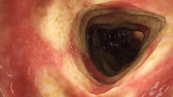 사진=클립아트코리아