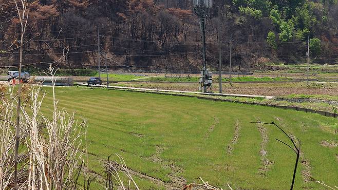 자료사진 [위 사진은 본문과 관계가 없습니다.]