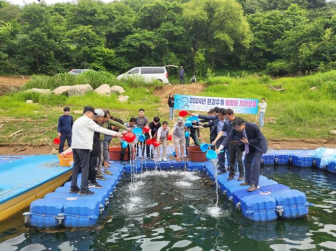 충북도 관계자들이 지난해 5월 제천시 청풍면에서 뱀장어 치어를 방류하고 있다. 충북도 제공.
