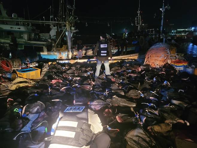 불법으로 포획한 고래고기. 포항해양경찰서 제공