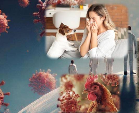 서울대 수의과대학 제공.