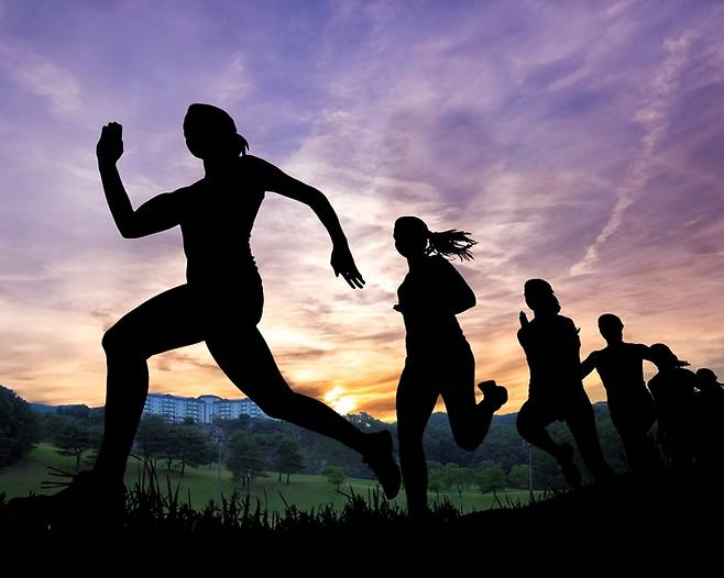 그린 트레일 러닝 프로그램 / 사진=오크밸리