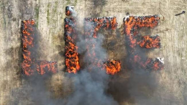 튀르키예 경찰이 압수한 대마를 소각 폐기해 인근 주민들이 환각상태에 빠지는 등 불상사가 발생했다. 사진은 튀르키예 동부 디야르바키르주 리제 지역 군경은 이 지역에서 압수한 대마초를 소각한 모습. /사진=튀르키예 투데이 홈페이지 캡처