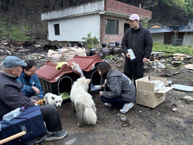 방송인 전현무와 슈퍼모델 출신 훈련사 김효진이 유기견 구조와 산불 피해 주민을 챙겼다. / 리홈 캠페인