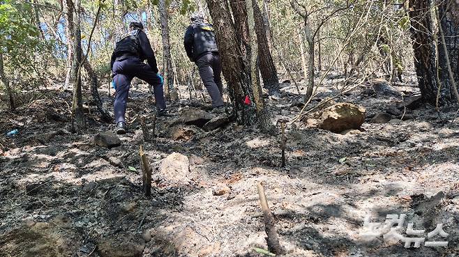 지난 30일 관계당국이 대구 함지산 산불 현장 감식 중이다. 곽재화 기자