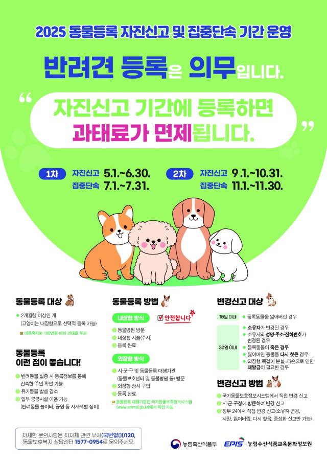 ‘2025 동물등록 자진신고 및 집중단속 기간 운영’ 관련 포스터. 사진제공=강북구