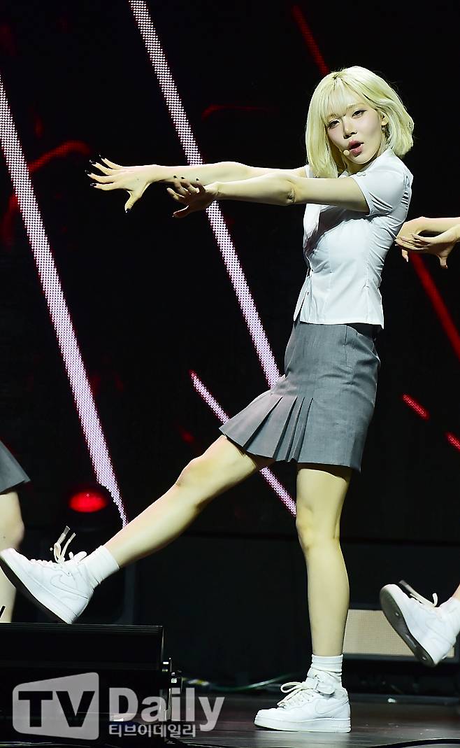 티브이데일리 포토