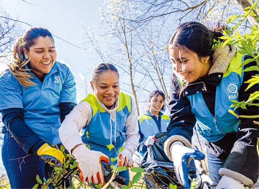 미국 버지니아주 페어팩스의 조지메이슨대 일대에서 생태계 교란을 일으키는 외래 식물을 제거하고 있는 하나님의 교회 대학생봉사단 ASEZ 회원들. 하나님의 교회 제공