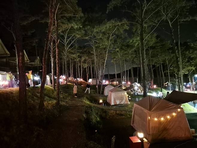 지난해 '엄빠랑 캠핑가자' 모습 [마포구 제공. 재판매 및 DB 금지]