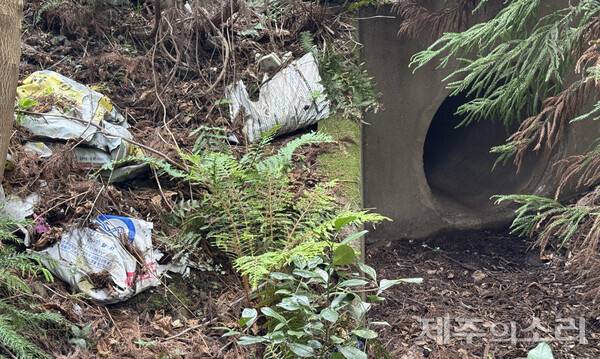 제주시 덕천리 곶자왈 일대인 북오름에서 확인된 각종 쓰레기들. / 곶자왈사람들 제공