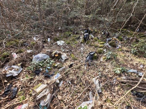 2월 26일 곶자왈 내 불법 무단 투기 폐기물