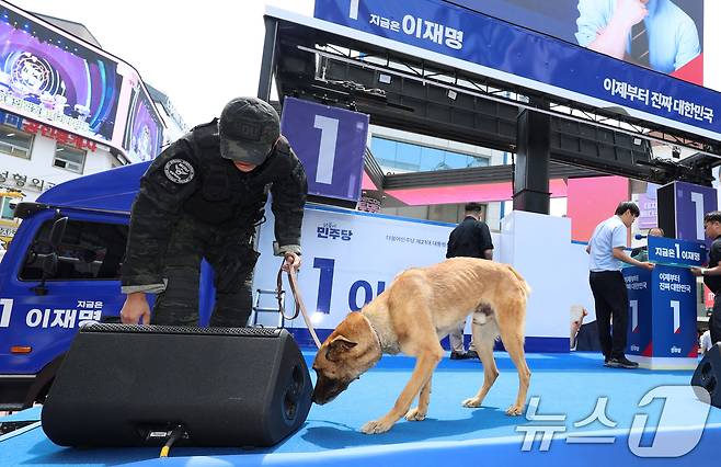 13일 대구 중구 동성로 광장에서 이재명 더불어민주당 대통령 후보의 집중유세 시작 전 경찰 특공대와 폭발물 탐지견이 수색을 하고 있다. (공동취재) 2025.5.13/뉴스1 ⓒ News1 안은나 기자