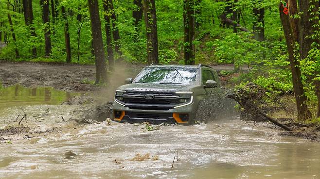 포드 익스페디션