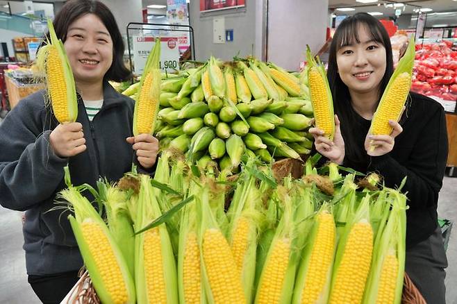 롯데마트 제타플렉스 잠실점 채소 코너에서 (왼쪽부터) 이동은, 정혜원 MD가 초당옥수수를 홍보하고 있다.ⓒ롯데마트