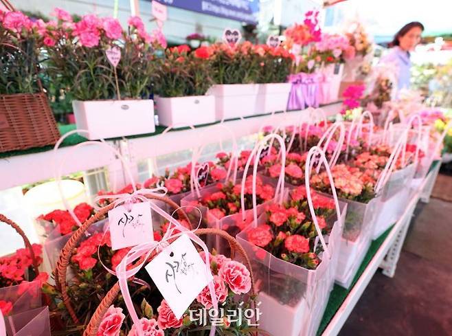 어버이날을 하루 앞둔 지난 7일 인천 남동구 구월동의 화훼단지 앞에 카네이션 등이 진열돼 있다. ⓒ뉴시스