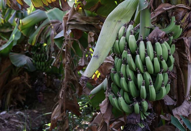 사진=게티이미지코리아.