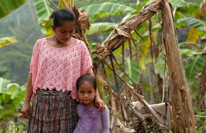 사진=크리스천 에이드 제공.