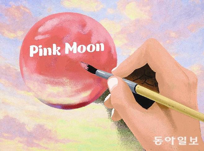 일러스트레이션 박초희 기자 choky@donga.com