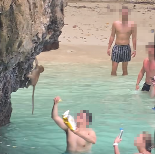 /사진=페이스북 갈무리