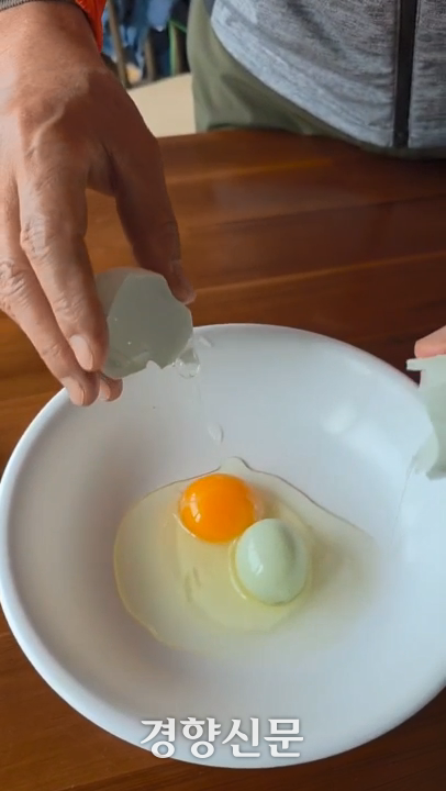 충북 괴산군 칠성면에 귀촌한 조광현씨가 최근 발견한 ‘달걀 속 달걀’. 조광현씨 제공.