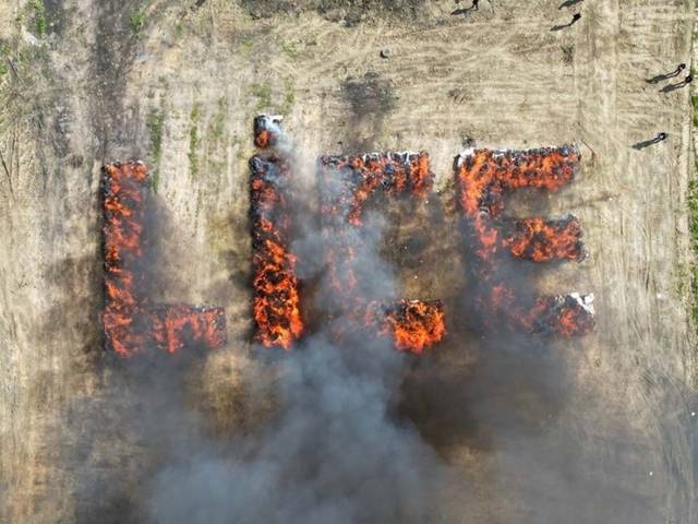 튀르키예 당국이 리세 지역에서 압수한 마약을 지역 이름을 따 쌓아올린 뒤 태우고 있다.튀르키예투데이 캡쳐