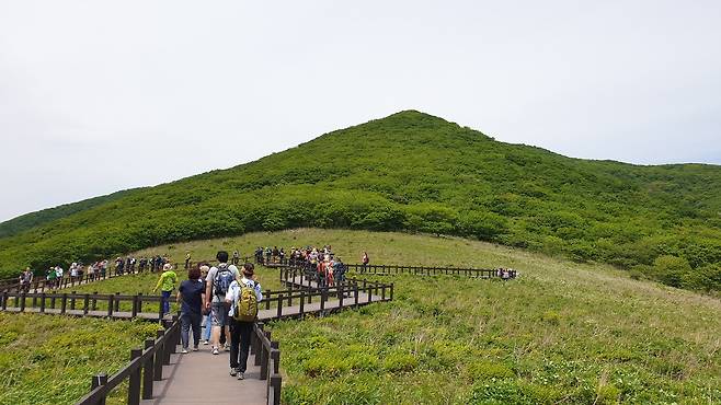 숲이 주는 삶의 질(곰배령 산림경관).