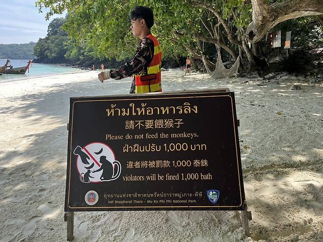 태국 유명 관광지 피피섬에 설치된 ‘원숭이에게 먹이를 주지 말라’는 내용의 안내판. [페이스북 ‘Patrick Pokpong Suwannasith’ 캡처]