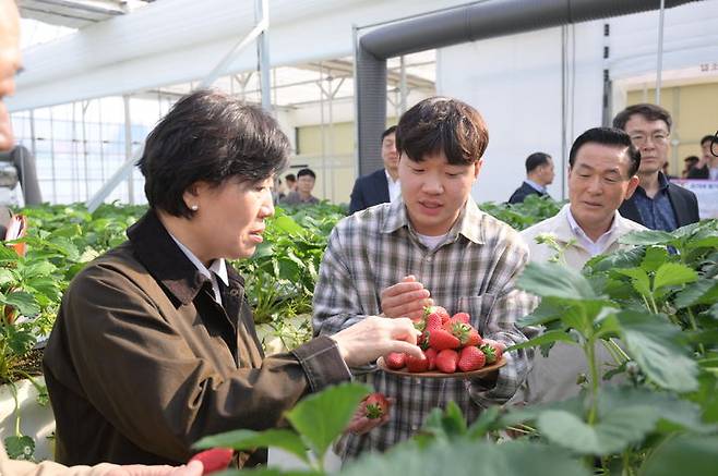 [논산=뉴시스] 사진은 송미령 농림축산식품부 장관이 지난 3월 12일 청년농업인이 운영하는 논산딸기 스파트팜 농가를 찾아 애로를 청취하고 있는 모습. (사진=논산시 제공) 2025. 03. 13 photo@newsis.com *재판매 및 DB 금지
