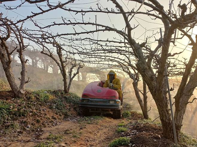 과수화상병 방제.(사진=뉴시스DB) *재판매 및 DB 금지